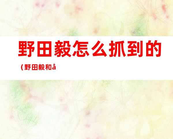 野田毅怎么抓到的?（野田毅和向井敏明）