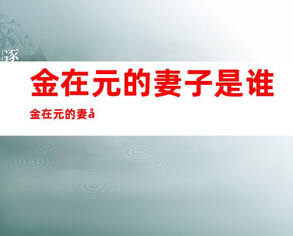 金在元的妻子是谁金在元的妻子个人资料及图片分享 _金在元的妻子是谁