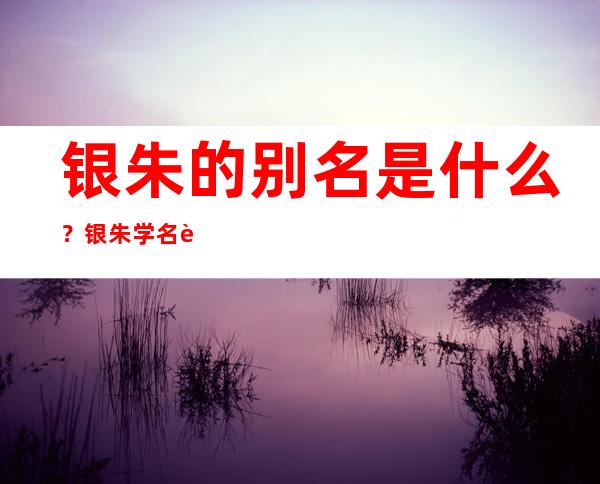 银朱的别名是什么？银朱学名药名又叫什么