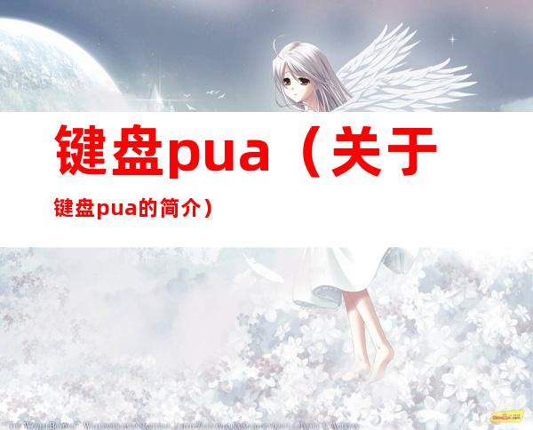 键盘pua（关于键盘pua的简介）