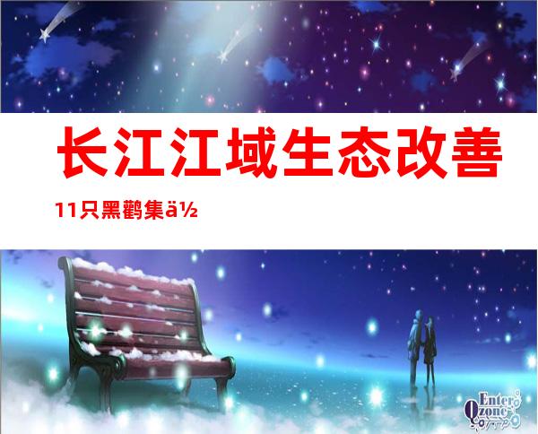 长江江域生态改善 11只黑鹳集体到访长江关洲岛