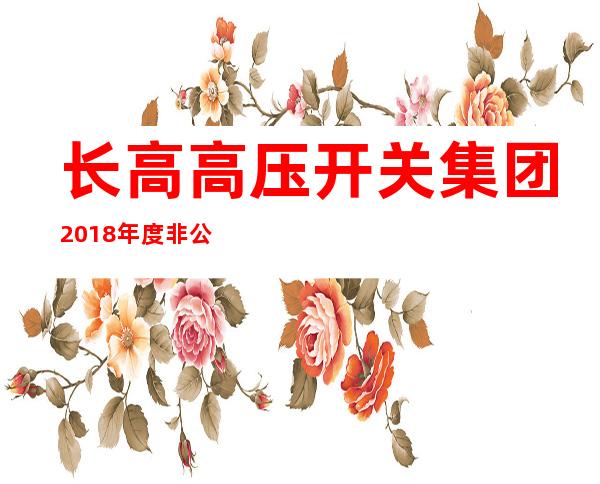 长高高压开关集团2018年度非公开-长高高压开关集团股份有限公司