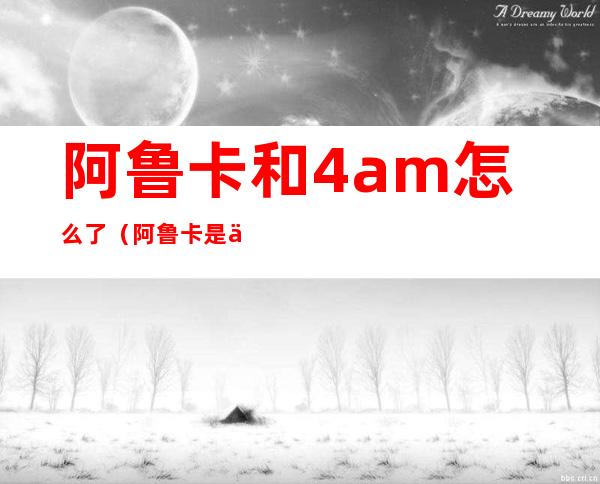 阿鲁卡和4am怎么了（阿鲁卡是什么意思）