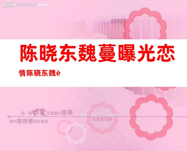 陈晓东魏蔓曝光恋情 陈晓东魏蔓为何会分手