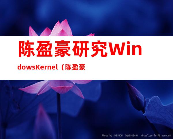 陈盈豪研究Windows Kernel（陈盈豪世界最牛的黑客）