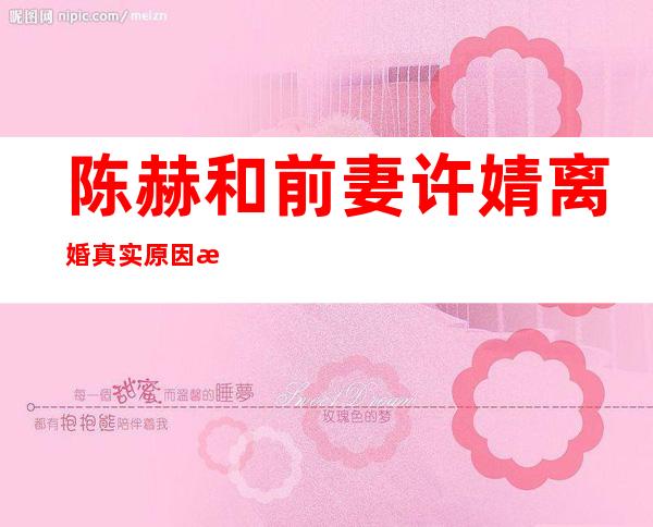 陈赫和前妻许婧离婚真实原因是什么？张子萱真的是第三者？