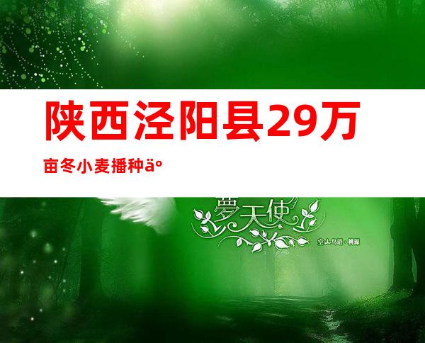 陕西泾阳县29万亩冬小麦播种事情周全开展