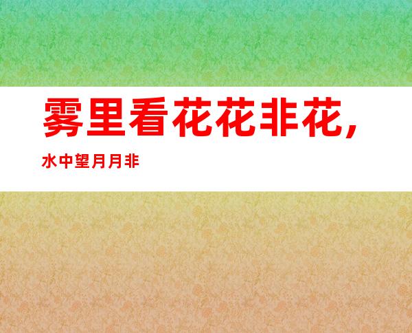 雾里看花花非花,水中望月月非月——雾里探花活动是什么意思