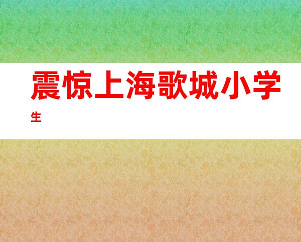 震惊上海歌城小学生