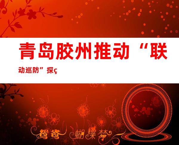 青岛胶州推动“联动巡防” 探索“联勤联管联治”新路径