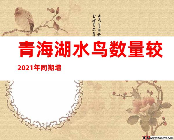 青海湖水鸟数量较2021年同期增加22.6%