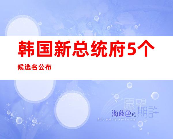 韩国新总统府5个候选名公布