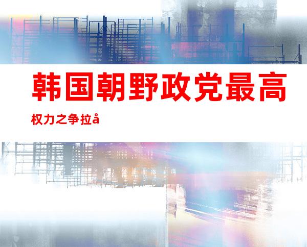 韩国朝野政党最高权力之争拉开帷幕