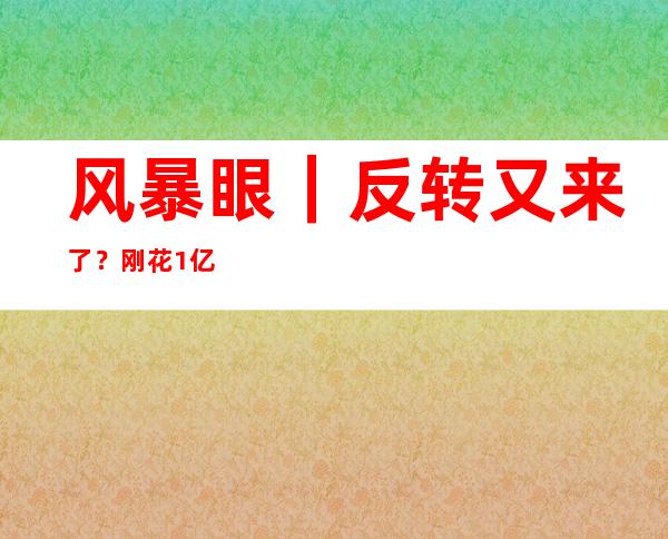 风暴眼｜反转又来了？刚花1亿买楼的“小杨哥”遭“打假”，王海透露更多细节