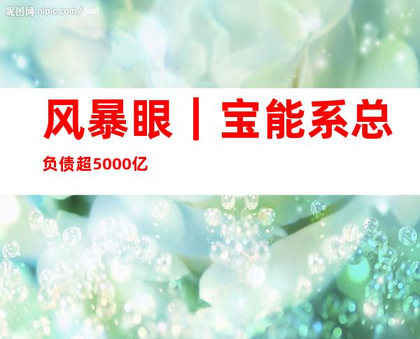 风暴眼｜宝能系总负债超5000亿，“赌徒”姚振华走下牌桌？