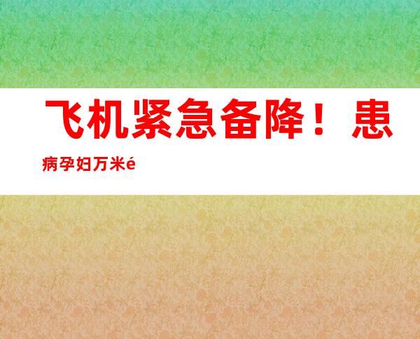 飞机紧急备降！患病孕妇万米高空获救助