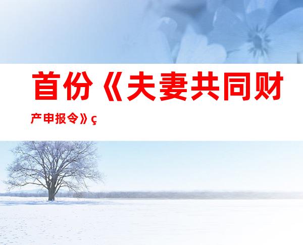 首份《夫妻共同财产申报令》的破冰意义