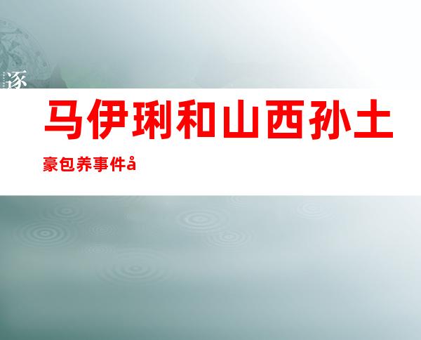 马伊琍和山西孙土豪包养事件 山西孙土豪背景资料