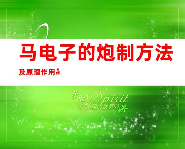 马电子的炮制方法及原理作用功效_不同炮制方法有哪些