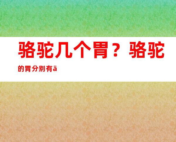 骆驼几个胃？骆驼的胃分别有什么用？骆驼有哪些经济价值？