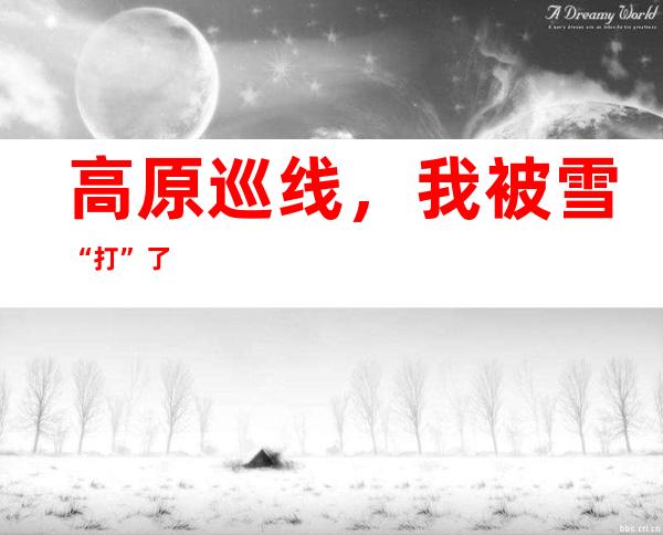 高原巡线，我被雪“打”了