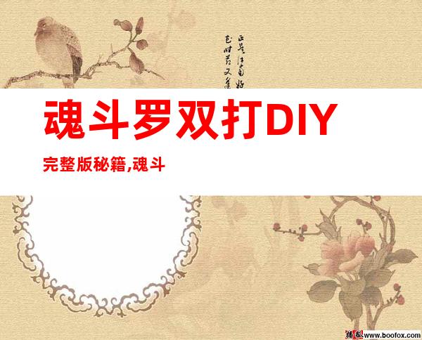 魂斗罗双打DIY完整版秘籍,魂斗罗双打DIY完整版攻略,小游戏www..com