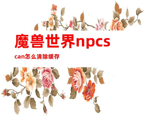 魔兽世界npcscan怎么清除缓存