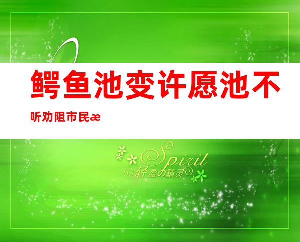 鳄鱼池变许愿池 不听劝阻市民投币破坏景物遭人白眼被批