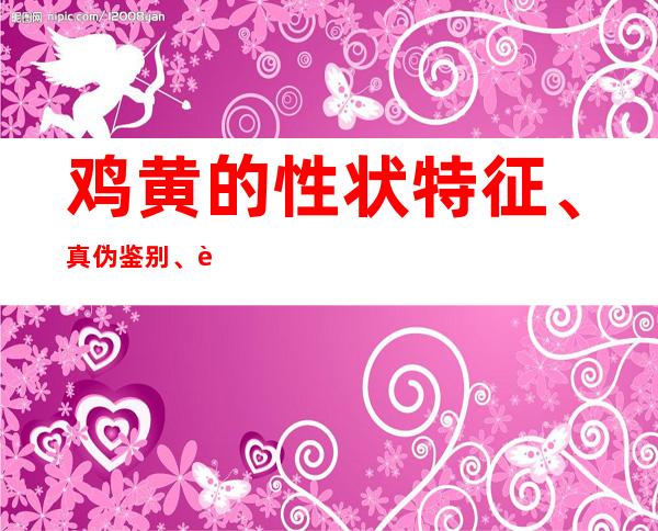 鸡黄的性状特征、真伪鉴别、购买要点和食疗及药膳选择