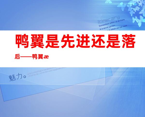 鸭翼是先进还是落后——鸭翼战斗机优缺点