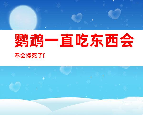 鹦鹉一直吃东西会不会撑死了（撑死了图片可爱图片）