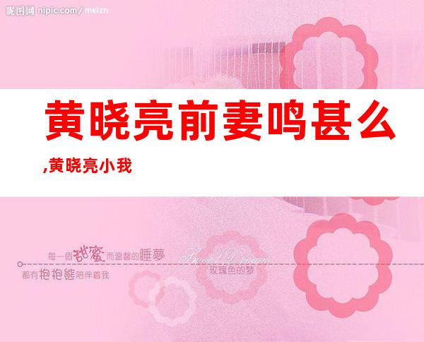 黄晓亮前妻鸣甚么,黄晓亮小我 材料 身下