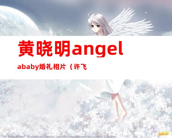 黄晓明angelababy婚礼相片（许飞P图和黄晓明合照，为何网友会觉得这一照片很尴尬）