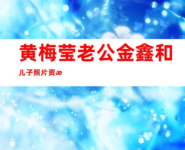 黄梅莹老公金鑫和儿子照片资料