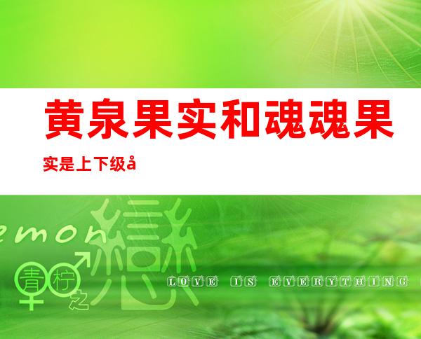 黄泉果实和魂魂果实是上下级关系吗（黄泉果实是魂魂果实上位果实吗）