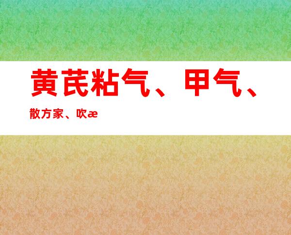 黄芪粘气、甲气、散方家、吹气、家结和方解_速记、口诀和运用要点