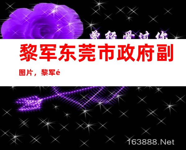 黎军东莞市政府副图片，黎军隆回公安局简历