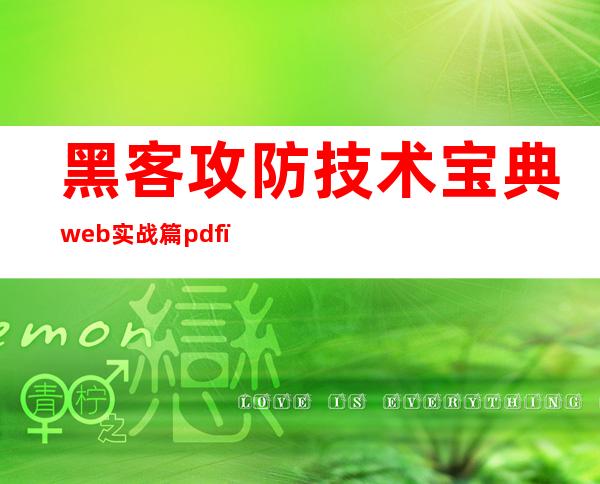 黑客攻防技术宝典web实战篇pdf（黑客攻防从入门到精通.pdf）