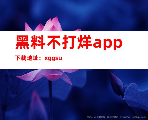 黑料不打烊app下载地址：xgg.su