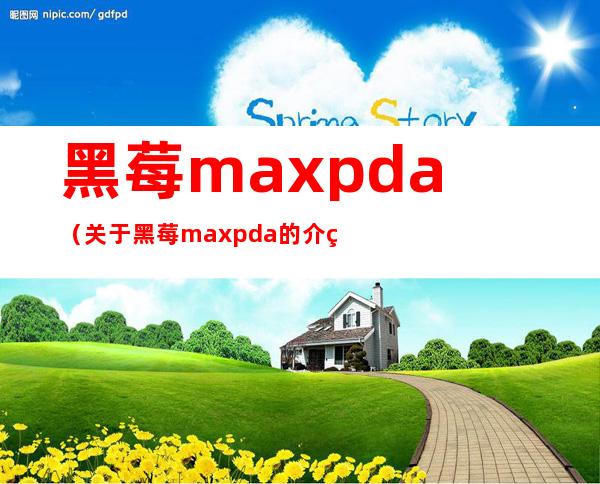 黑莓maxpda（关于黑莓maxpda的介绍）