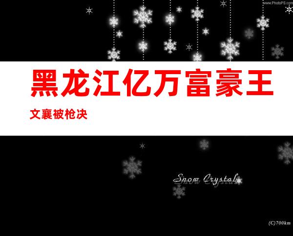 黑龙江亿万富豪王文襄被枪决