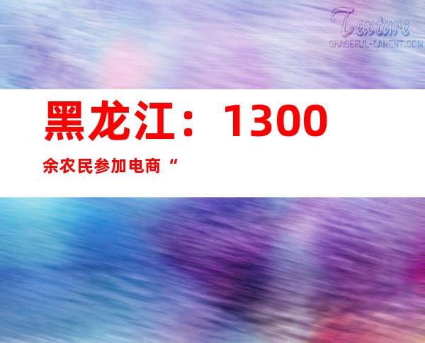 黑龙江：1300余农民参加电商“小能人”培训