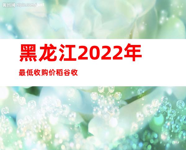 黑龙江2022年最低收购价稻谷收购事情周全启动