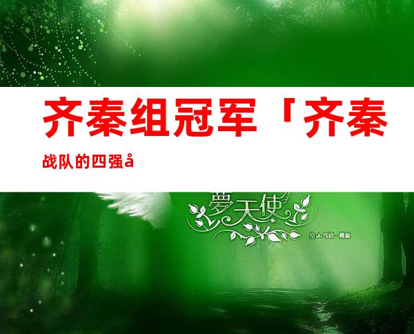 齐秦组冠军「齐秦战队的四强学员」