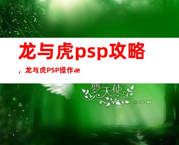 龙与虎psp攻略，龙与虎PSP操作指南