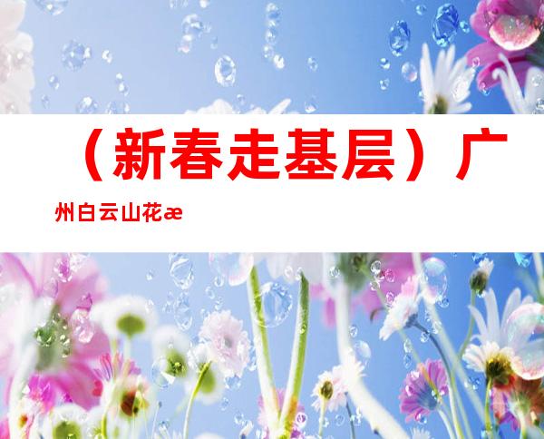 （新春走基层）广州白云山花景争奇斗艳 助老广“花”式过年