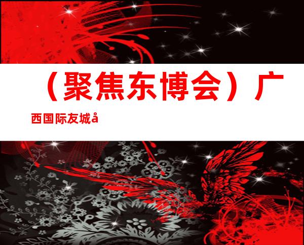 （聚焦东博会）广西国际友城借东博会拓中国市场 “朋侪圈”变“互助圈”