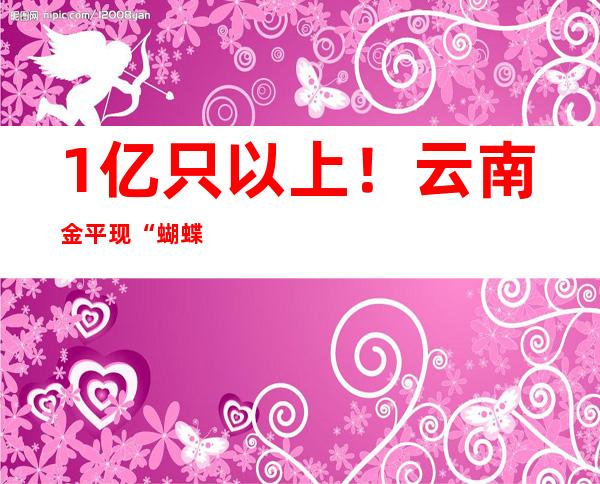 1亿只以上！云南金平现“蝴蝶大爆发”罕见奇观