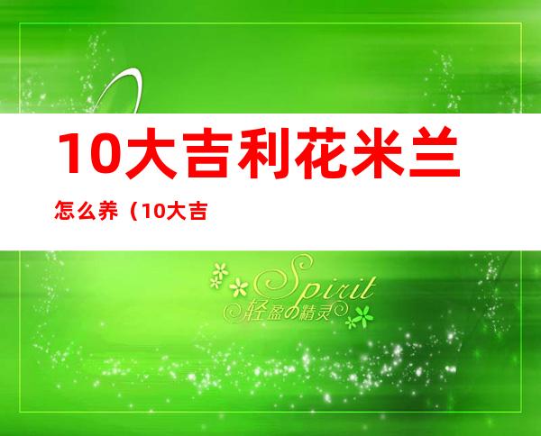 10大吉利花米兰怎么养（10大吉利花微信头像）