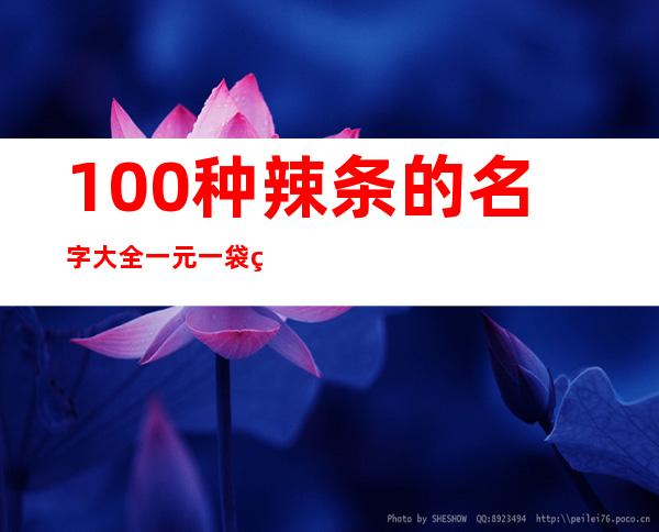 100种辣条的名字大全一元一袋的（100种辣条的名字大全嚼劲的辣条）